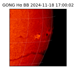 gong - 2024-11-18T17:00:02