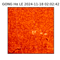 gong - 2024-11-18T02:02:42