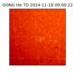 gong - 2024-11-18T09:00:22