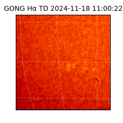 gong - 2024-11-18T11:00:22