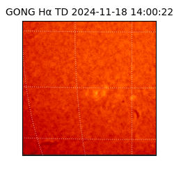 gong - 2024-11-18T14:00:22