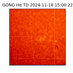 gong - 2024-11-18T15:00:22