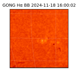 gong - 2024-11-18T16:00:02