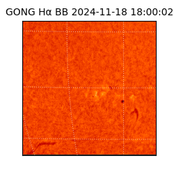 gong - 2024-11-18T18:00:02