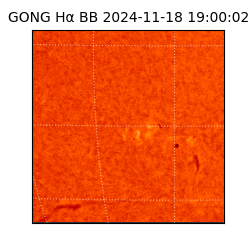 gong - 2024-11-18T19:00:02