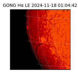 gong - 2024-11-18T01:04:42