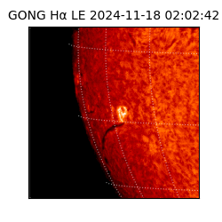 gong - 2024-11-18T02:02:42