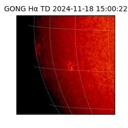 gong - 2024-11-18T15:00:22