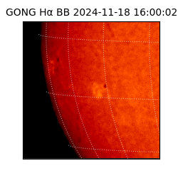 gong - 2024-11-18T16:00:02