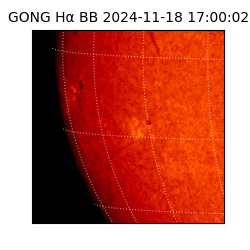 gong - 2024-11-18T17:00:02