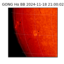 gong - 2024-11-18T21:00:02