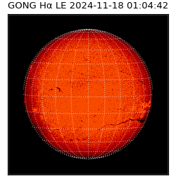 gong - 2024-11-18T01:04:42