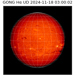 gong - 2024-11-18T03:00:02