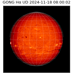 gong - 2024-11-18T08:00:02