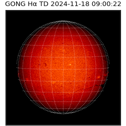 gong - 2024-11-18T09:00:22