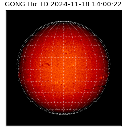 gong - 2024-11-18T14:00:22