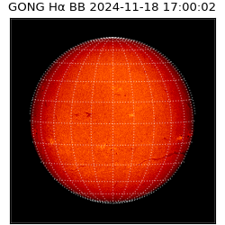 gong - 2024-11-18T17:00:02