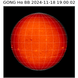 gong - 2024-11-18T19:00:02