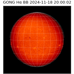 gong - 2024-11-18T20:00:02