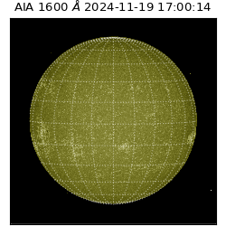 saia - 2024-11-19T17:00:14.126000