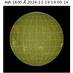 saia - 2024-11-19T19:00:14.126000