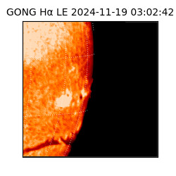 gong - 2024-11-19T03:02:42