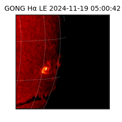 gong - 2024-11-19T05:00:42