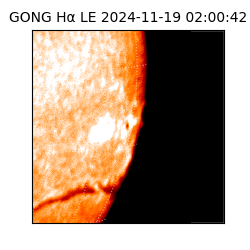 gong - 2024-11-19T02:00:42