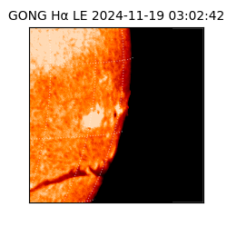 gong - 2024-11-19T03:02:42