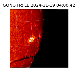 gong - 2024-11-19T04:00:42