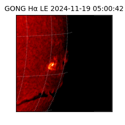 gong - 2024-11-19T05:00:42