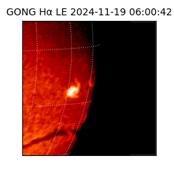 gong - 2024-11-19T06:00:42