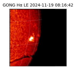 gong - 2024-11-19T08:16:42