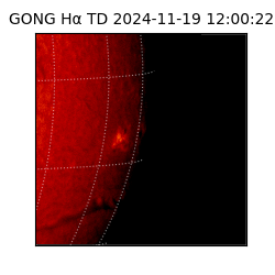 gong - 2024-11-19T12:00:22