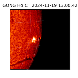 gong - 2024-11-19T13:00:42