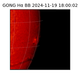 gong - 2024-11-19T18:00:02