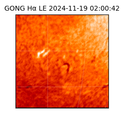 gong - 2024-11-19T02:00:42