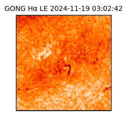 gong - 2024-11-19T03:02:42