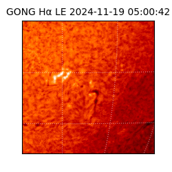 gong - 2024-11-19T05:00:42