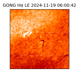 gong - 2024-11-19T06:00:42