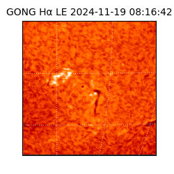 gong - 2024-11-19T08:16:42