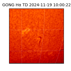 gong - 2024-11-19T10:00:22