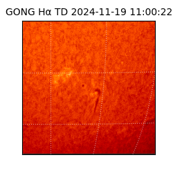 gong - 2024-11-19T11:00:22