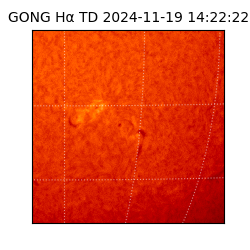 gong - 2024-11-19T14:22:22