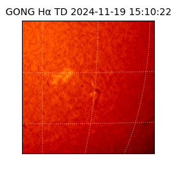 gong - 2024-11-19T15:10:22