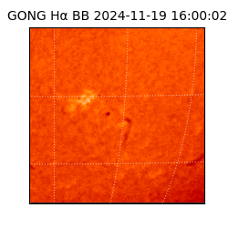 gong - 2024-11-19T16:00:02