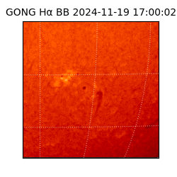 gong - 2024-11-19T17:00:02