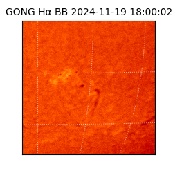 gong - 2024-11-19T18:00:02