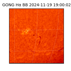 gong - 2024-11-19T19:00:02