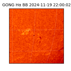 gong - 2024-11-19T22:00:02